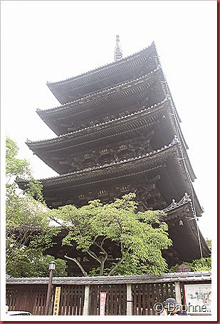 IMG_4900 IMG_4900