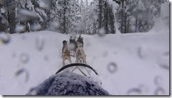 Dog sled 2014, snow 022 - Copy