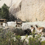 IMG_0044.JPG