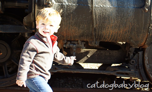 [2012-11-17-61crop4.jpg]