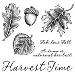 C1504_fall harvest stamps