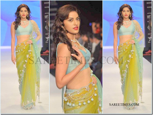 Jashn_IIJW_Saree (4)