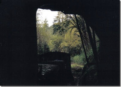 Ostrander Tunnel on the Weyerhaeuser Woods Railroad (WTCX) on May 17, 2005