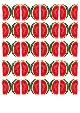 Watermelon-Party-Stuzzicadenti6 Watermelon-Party-Stuzzicadenti6