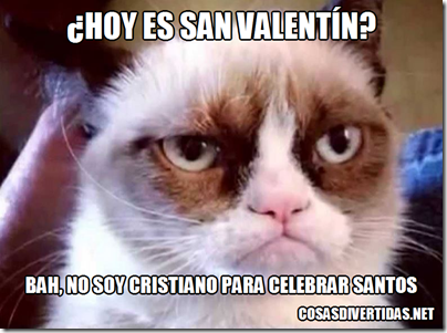 san valentin gato enfadado san valentin gato enfadado