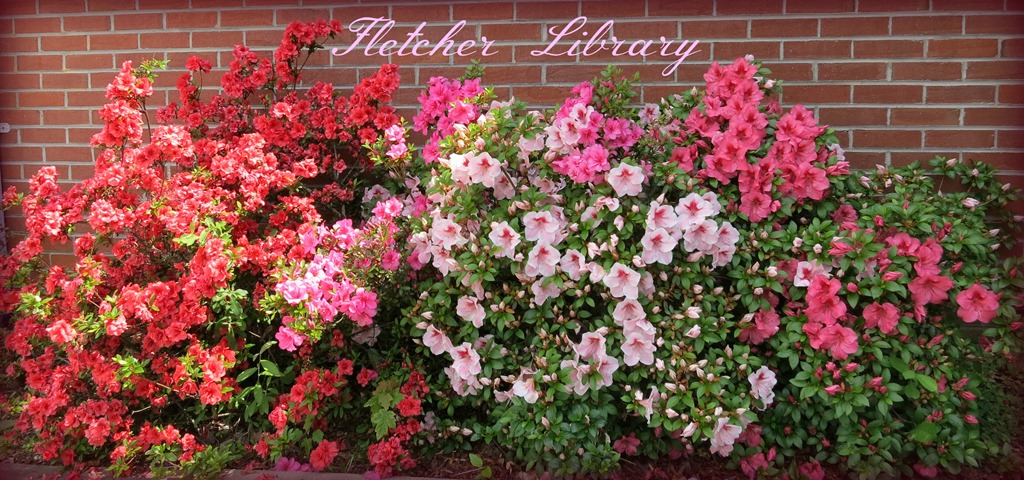 [LibraryIMG_4118%255B4%255D.jpg]