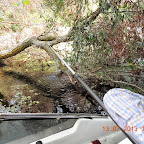 DSCN2999.JPG