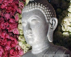 28 Marble Buddha Statues Pujawa