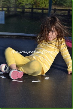 DSC_0012 DSC_0012