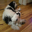 DSCN0149.JPG