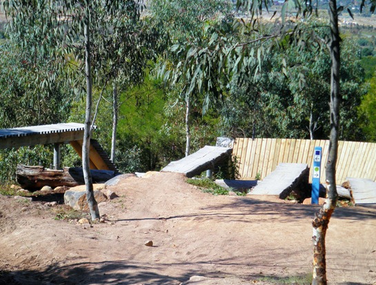 P4290004