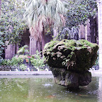 09080015.JPG