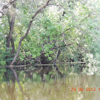 DSCN8253.JPG