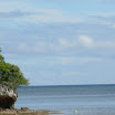 SDC10197.jpg