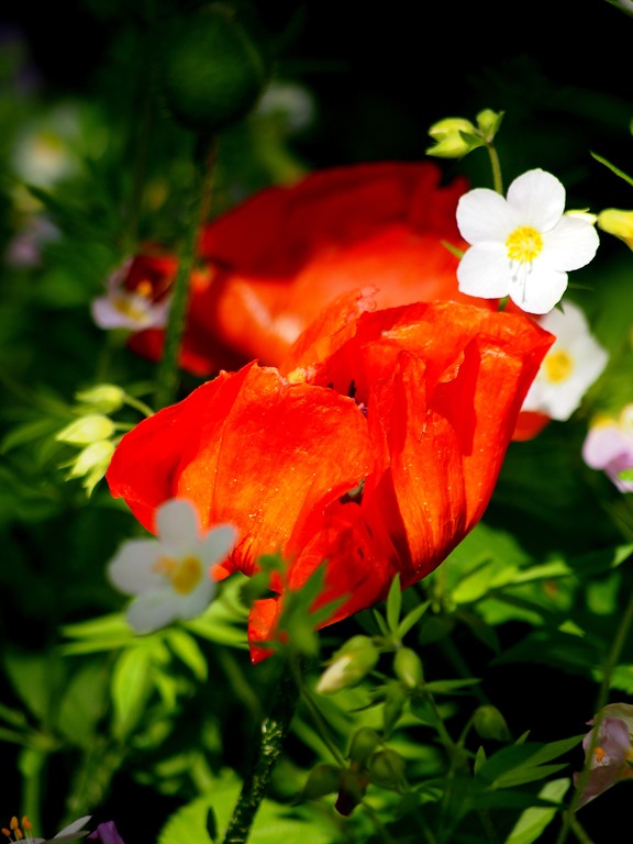 [6%2520June%25204%255B3%255D.jpg]