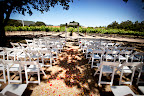 I loved the rose petals scattered on the ground. Geri's lace train just rippled right over them. I loved the rose petals scattered on the ground. Geri's lace train just rippled right over them.