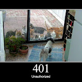 401.jpg 401.jpg