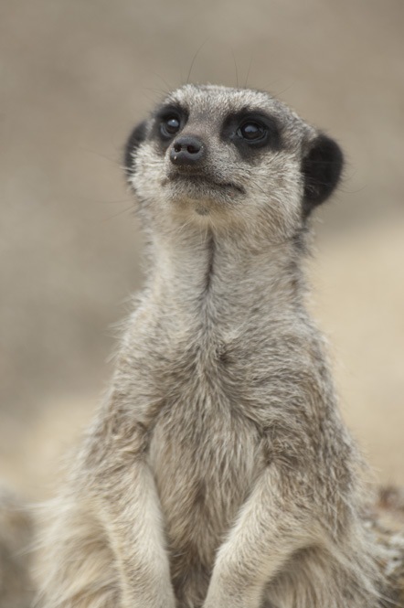 [_DSC4933%255B4%255D.jpg]