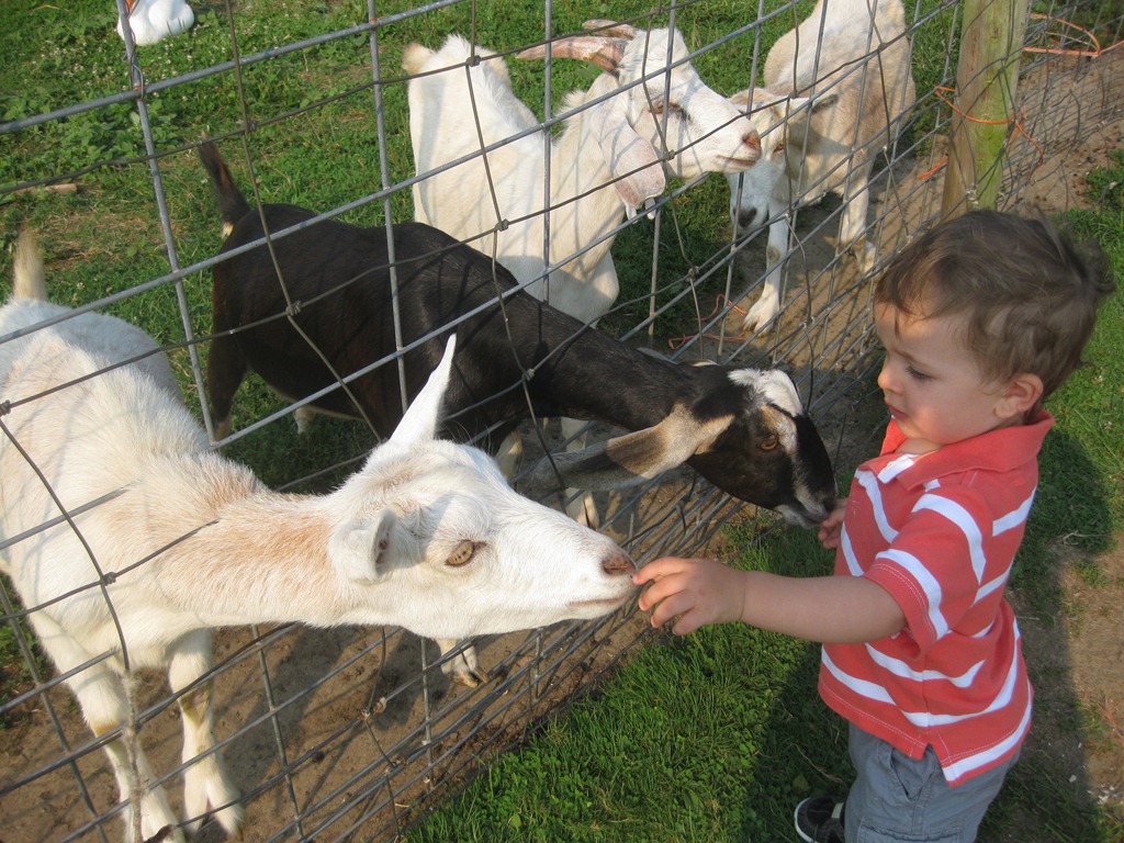 [2012.08.17%2520Petting%2520Zoo%2520%25281%2529%255B4%255D.jpg]