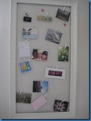 IMG_5985 IMG_5985