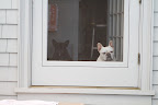 Now all we have to do is wait for Martha to come home.