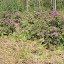 P5150637.JPG