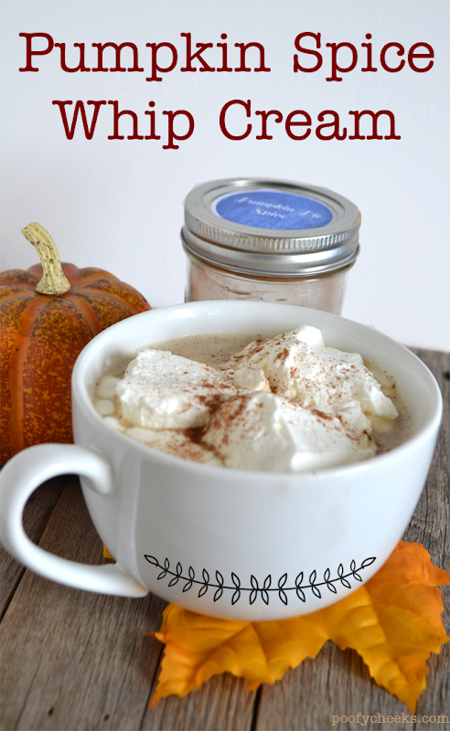 Pumpkin Spice Whip Cream