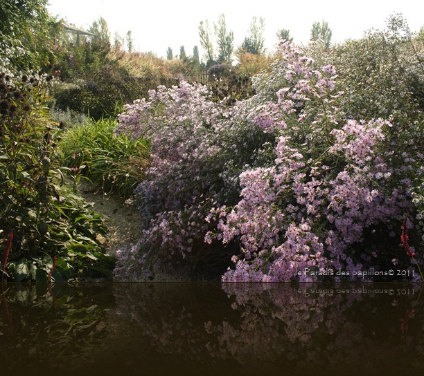 IMG_7450 IMG_7450