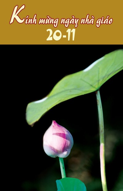 thiep-mung-ngay-giao-viet-nam-20-11 (14)