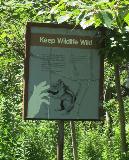 I guess this sign means that we shouldn't feed the wildlife - otherwise they will rely on humans and Frenchies to feed them and won't know how to fend for themselves.