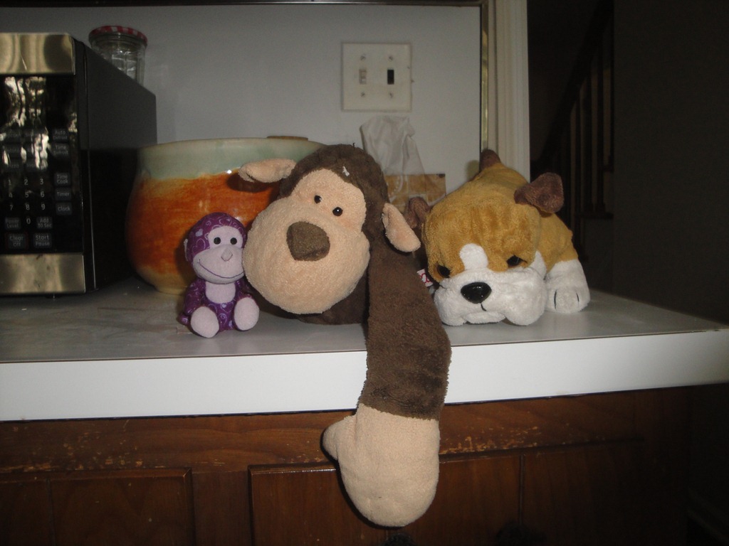 [DSC07635%255B5%255D.jpg]
