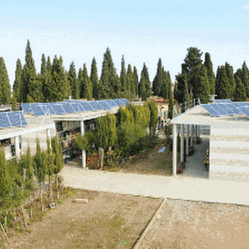 Placas solares en cementerios la apuesta por la energía limpia de Ciutat de Carlet