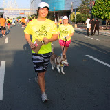 Pet Express Doggie Run 2012 Philippines. Jpg (182).JPG