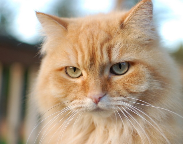 [DSC_5541%255B8%255D.jpg]