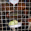 My buddy in the produce place