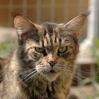 wilma2.jpg