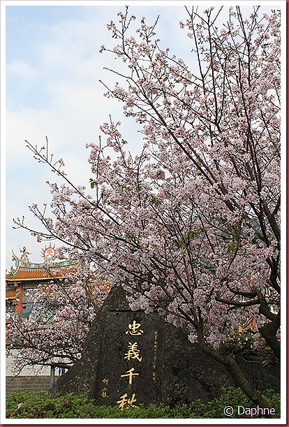 IMG_2635 IMG_2635