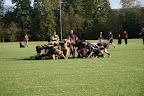 RCD - Groningen 2 (119 - 0)