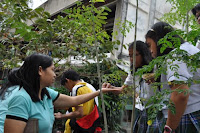 pinoyecofarm vermicomposting seminar _0038.JPG