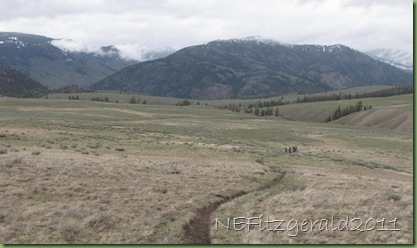 BlackTailTrail Yellowstone(b) BlackTailTrail Yellowstone(b)