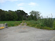 Go down here if you want to get to the weird farm and have weird conversations