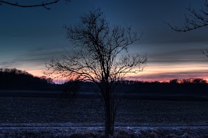 2012_02_05_IMG_1631_2_3_tonemapped.jpg