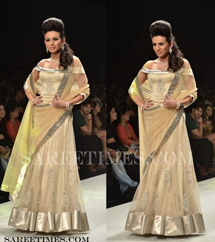 [Tan_Designer_Saree%255B4%255D.jpg]