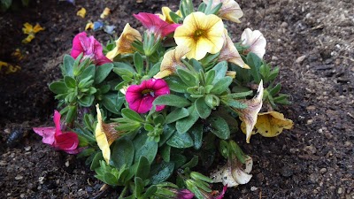 2014-05-02 12.58.47.jpg