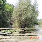 DSCN8302.JPG