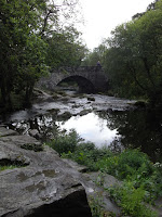 RIMG0115.JPG Photo