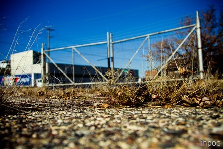 IMG_8952 IMG_8952