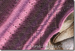 IMG_1460 IMG_1460