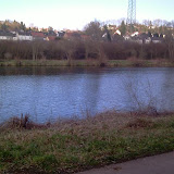 19.03.2011 Picobello in den Saarauen - unser Fleck, fast besenrein