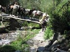 On the way to Vashisht